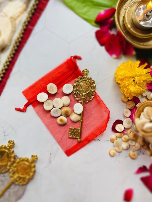 Kuber Kunji & Gomti Chakra Set