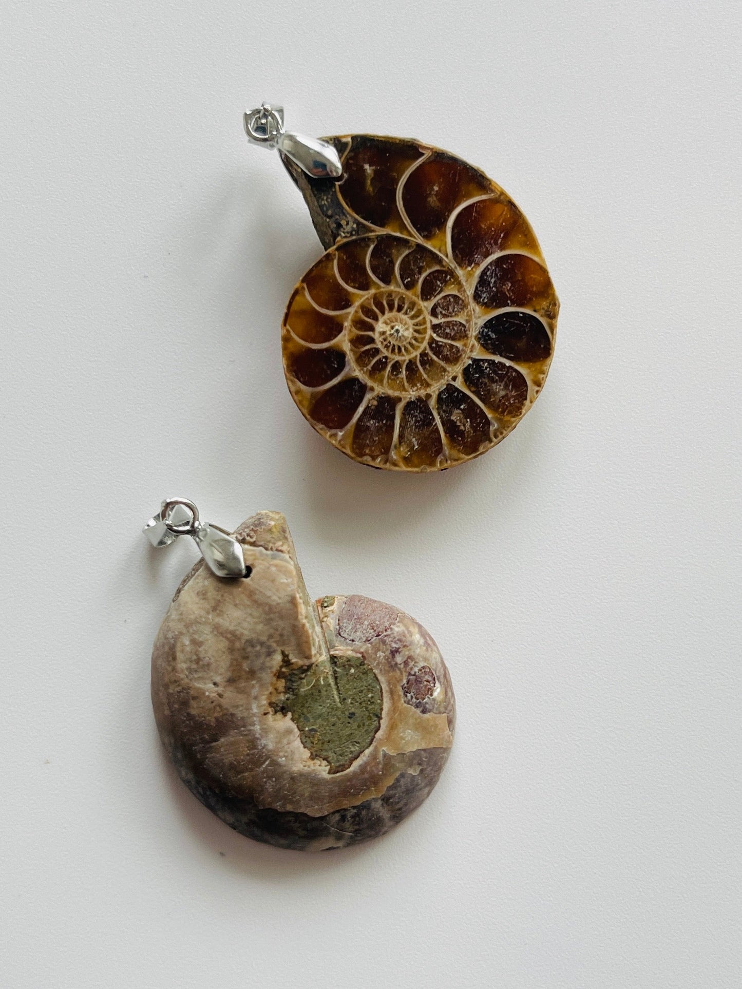 Ammonite pendant