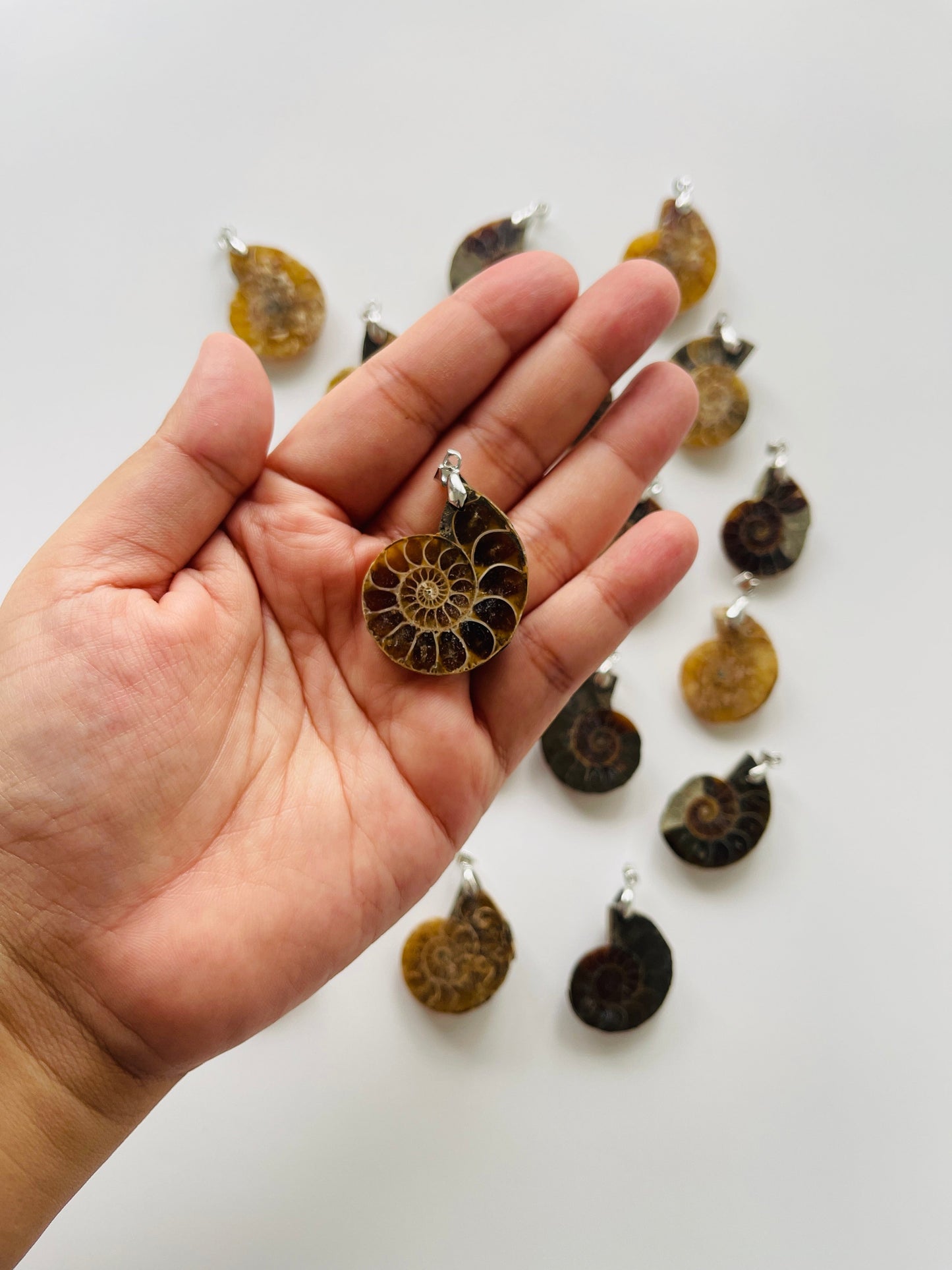 Ammonite pendant